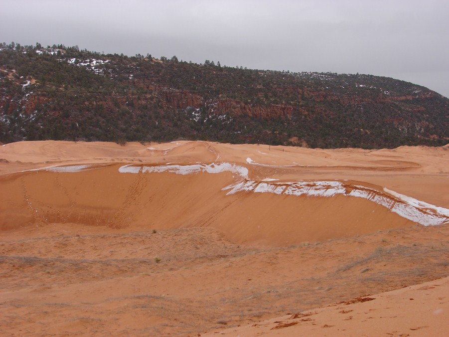 coral pink dunes (5).JPG